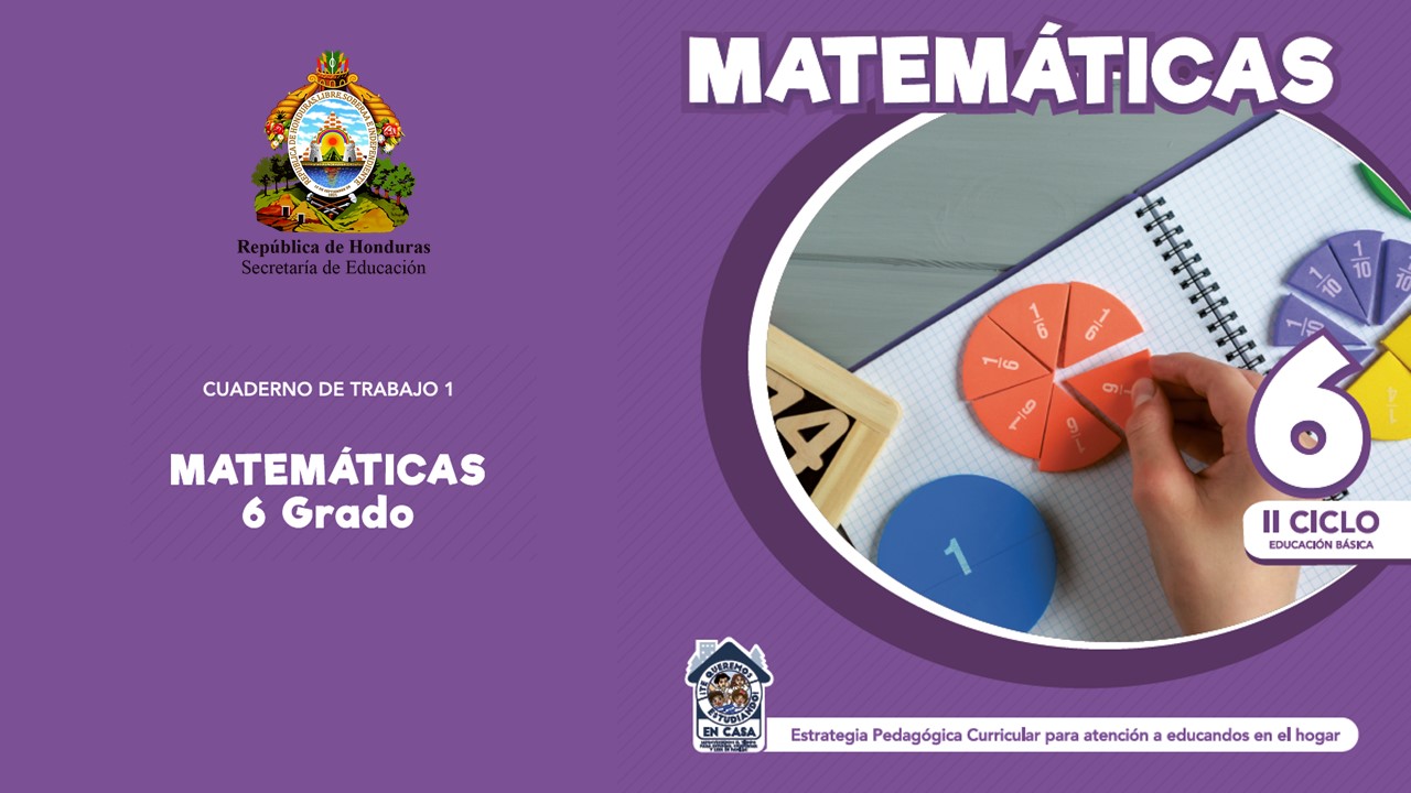 Cuaderno de Trabajo 1 - Matemáticas - Contenidos Priorizados Image