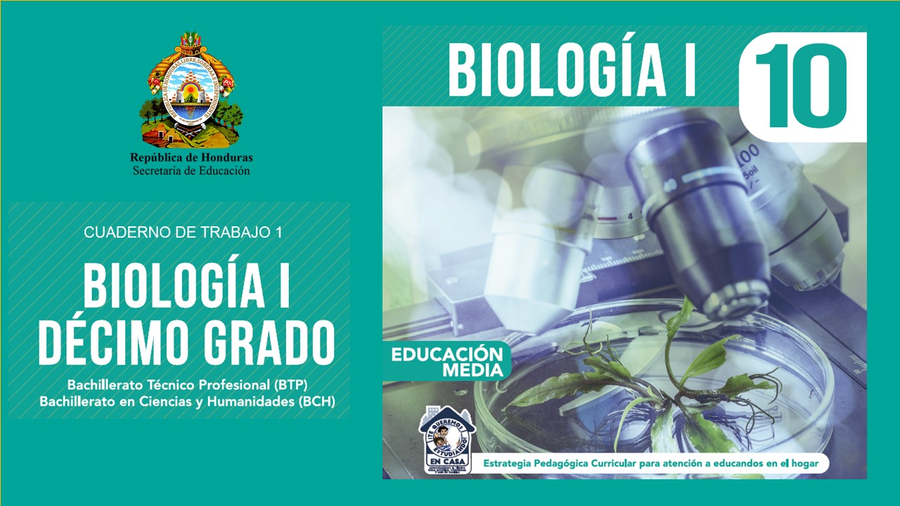 Cuaderno de Trabajo - Biología I - Contenidos Priorizados Image
