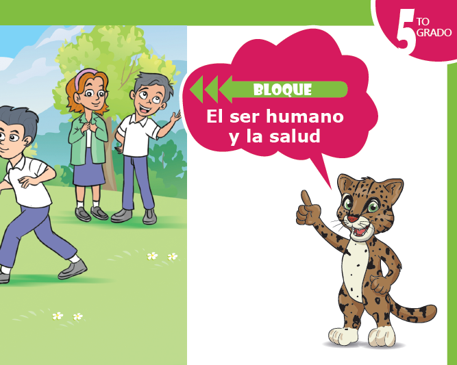 Lecciones de Ciencias Naturales: Primer parcial Image
